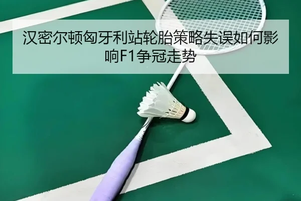 han-mi-er-dun-xiong-ya-li-zhan-lun-tai-ce-lve-shi-wu-ru-he-ying-xiang-zheng-guan-zou-shi-3-311.jpg
