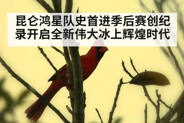 昆仑鸿星队史首进季后赛创纪录开启全新伟大冰上辉煌时代